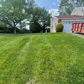 landscaping by Domínguez Services reviewed on May 27, 2025