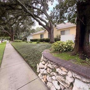 Bush Trimming by Montijo landscaping llc reviewed on August 20, 2026