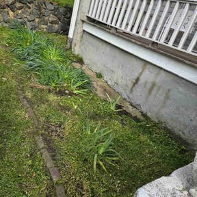 Flower Bed Weeding by Legacy landscaping llc reviewed on March 20, 2026