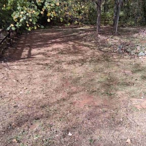 Leaf Removal by Angel Grass cutters reviewed on November 21, 2025