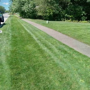 turf care by DLAWN SERVICE LLC reviewed on April 8, 2024