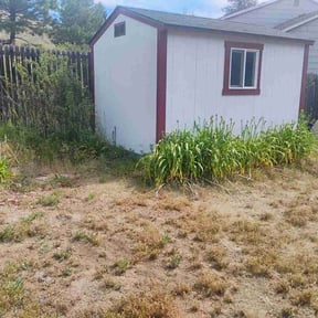 Bush Trimming by VerveOutdoor llc reviewed on June 20, 2026