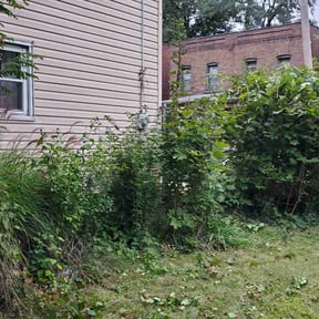 Bush Trimming by Clean Slate Lawns LLC reviewed on August 16, 2025