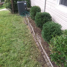 Bush Trimming by CCA Lawn Care reviewed on August 20, 2025