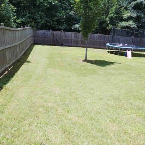 Flower Bed Weeding by Top Turf L.L.C reviewed on May 19, 2022