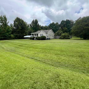 yard service by Clover construction LLC reviewed on March 9, 2024