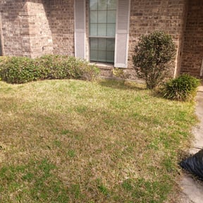 Bush Trimming by AAA Lawn Care reviewed on August 21, 2025
