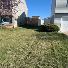 lawn care by GREEN GUYS LAWN CARE reviewed on July 6, 2023