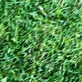 Bush Trimming by Parker Landscape & Maintenance reviewed on August 16, 2025