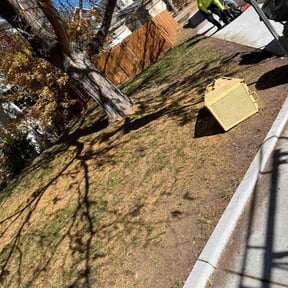 Leaf Removal by J&amp;R LawnCare &amp; Maintenance reviewed on November 7, 2025