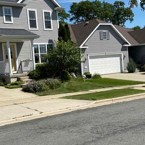 landscape maintenance by Busy Bee Co WI reviewed on August 16, 2025