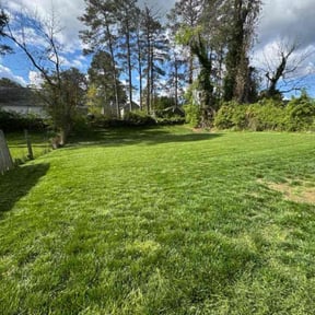 grass cutting by Saving Grace Services Dba reviewed on July 23, 2025