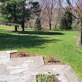landscape maintenance by Bellas custom landscaping reviewed on August 18, 2025
