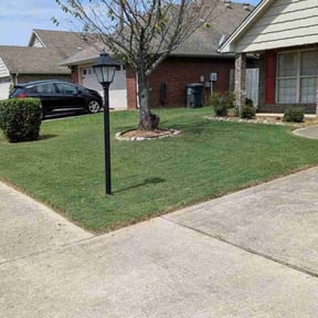 Leaf Removal by B&amp;B Lawn maintenance reviewed on September 21, 2025