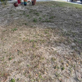 Leaf Removal by The A Team lawn Service reviewed on August 17, 2025