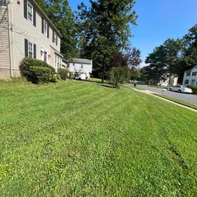 Bush Trimming by M.A.C & Utilities llc. reviewed on August 18, 2025