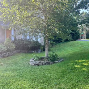Tree Trimming by Parada Landscaping  reviewed on August 17, 2025