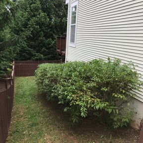 Bush Trimming by Wilson Lawn Care reviewed on August 20, 2025