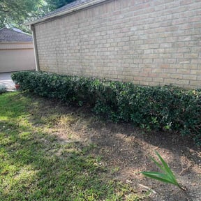 Bush Trimming by MLB Landscaping reviewed on August 17, 2025