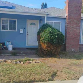 Bush Trimming by Contreras Landscaping reviewed on August 15, 2025