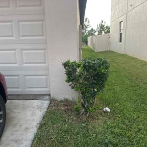 Bush Trimming by JD Lawn Care reviewed on October 19, 2025