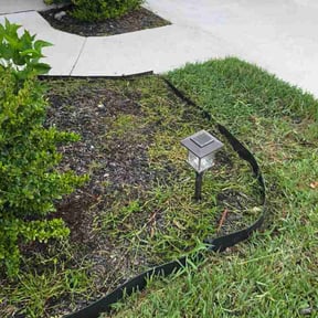 Flower Bed Weeding by Walberto Oliva reviewed on July 10, 2026