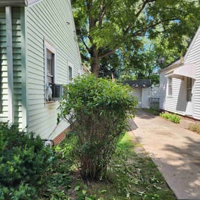 Bush Trimming by Thorn City Maintenance reviewed on August 21, 2025