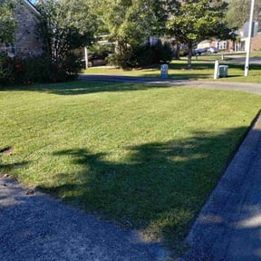 grass maintenance by MKP Services reviewed on April 19, 2024