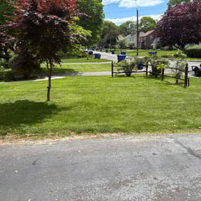 yard service by Handy Haven lawn care reviewed on August 18, 2025