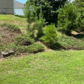 Flower Bed Weeding by Brooks Blade Service reviewed on August 16, 2025