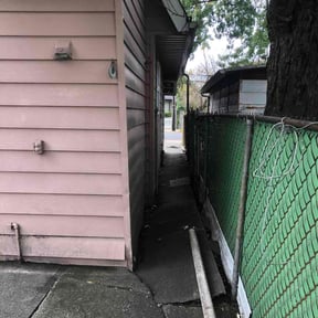 Leaf Removal by WhoMoney Landscaping reviewed on November 8, 2025