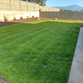 yard care by Double F Lawns reviewed on August 19, 2025