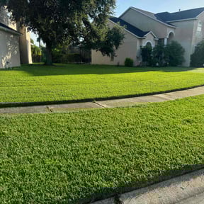 landscaping services by Montijo landscaping llc reviewed on November 27, 2025