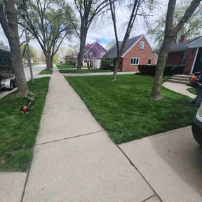 landscape maintenance by Professinal Yard Men reviewed on August 20, 2025