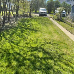 grass cutting by Lopez Property Services Inc. reviewed on August 17, 2025