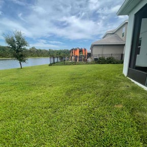 grass maintenance by Total concepts landscaping&amp;powerwashing reviewed on August 15, 2025