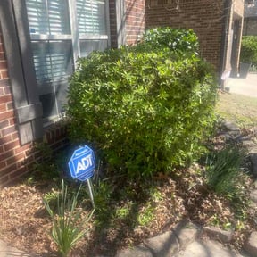 Bush Trimming by Tampa Lawn Maintenance 813 reviewed on April 8, 2026