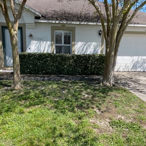 Bush Trimming by D & C lawn care reviewed on August 16, 2025