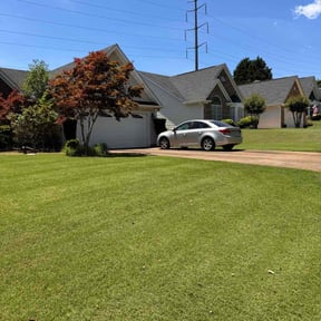 yard care by Donald Austile Lawn Care reviewed on November 18, 2025