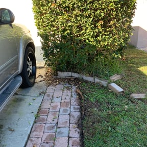 Bush Trimming by Detroit Yard Crew reviewed on August 15, 2025