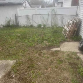 Leaf Removal by Whip it Clean Inc. reviewed on May 14, 2026