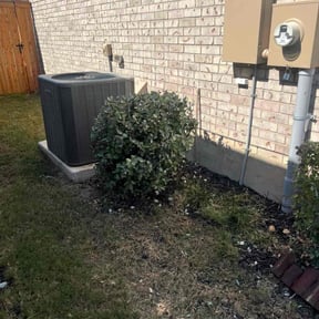 Bush Trimming by Dave&#039;s Electric Lawns reviewed on November 19, 2025