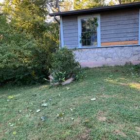 Bush Trimming by Poor Boy Grounds Management reviewed on August 16, 2025