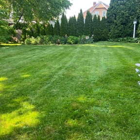 landscape maintenance by TOMS - Total Outdoor Maintenance reviewed on August 18, 2025