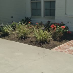 Flower Bed Weeding by Edgar Yanez Services reviewed on August 15, 2025