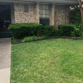 Bush Trimming by Mainline Lawn Care reviewed on August 19, 2025