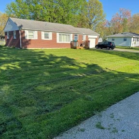 turf maintenance by Elite reviewed on September 12, 2023