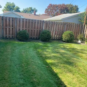 Bush Trimming by DMB grounds LLC reviewed on August 17, 2025