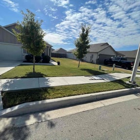 grass maintenance by Affordable Green Solutions EST.2021 reviewed on March 18, 2025