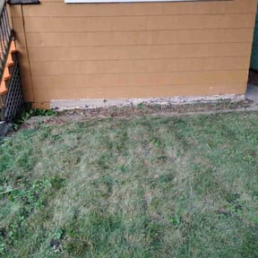 Bush Trimming by Perfect Lawn Care and Seal Coating reviewed on August 14, 2025